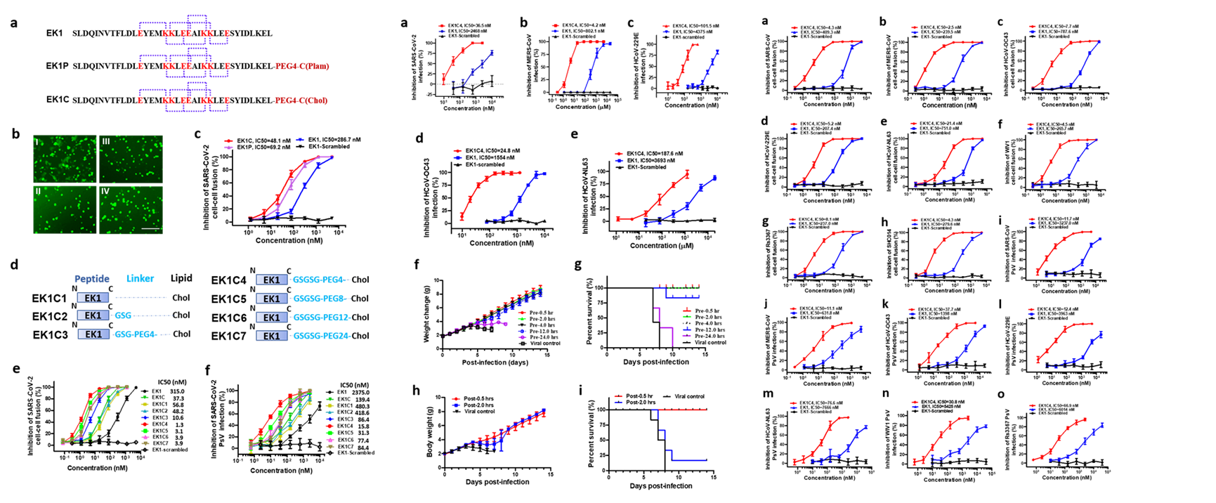 5d5a17b94c8446499d0d480d47361bc8.png